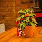 Couette-café Skalite Szczyrk