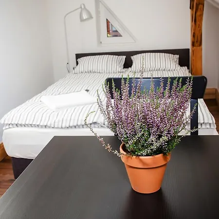 Bed & Breakfast Skalite *