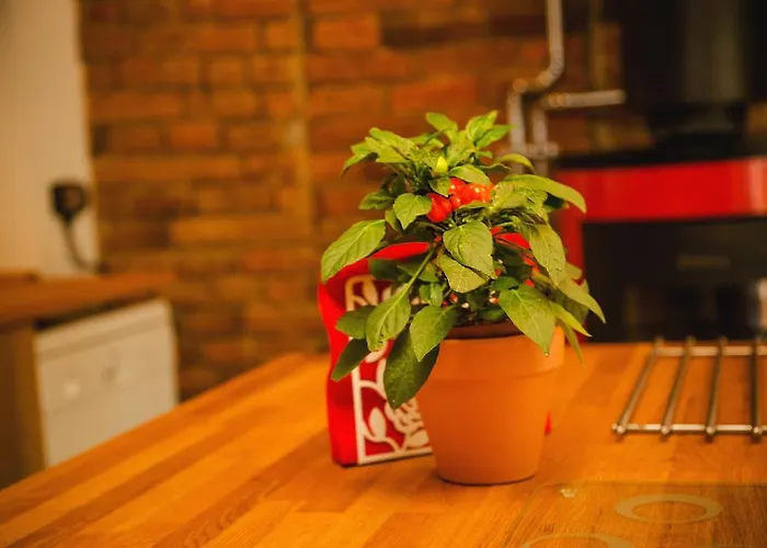 Bed & Breakfast Skalite Szczyrk